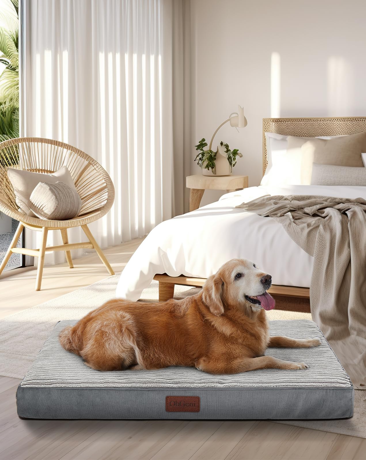 Version 1.0.0 Flat style Orthopedic dog bed