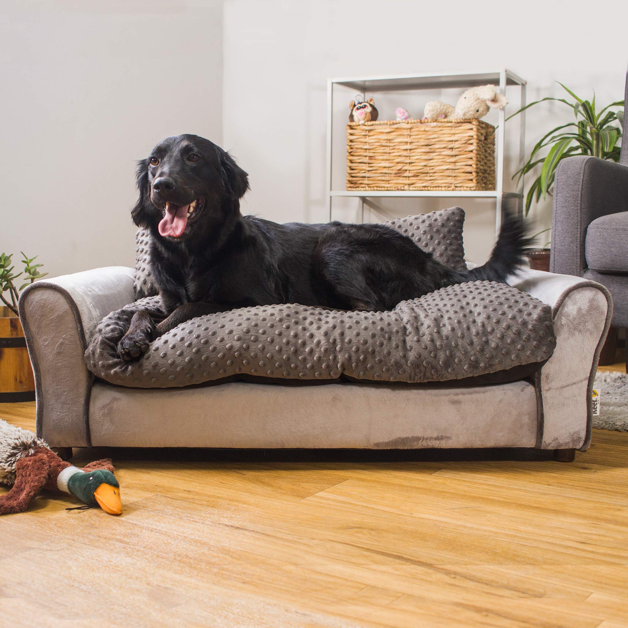 Version 1.0.0 Dog sofa bed with pillows