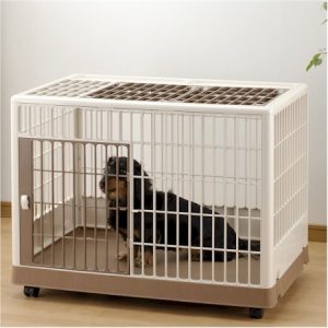 Training crate with removable base, casters