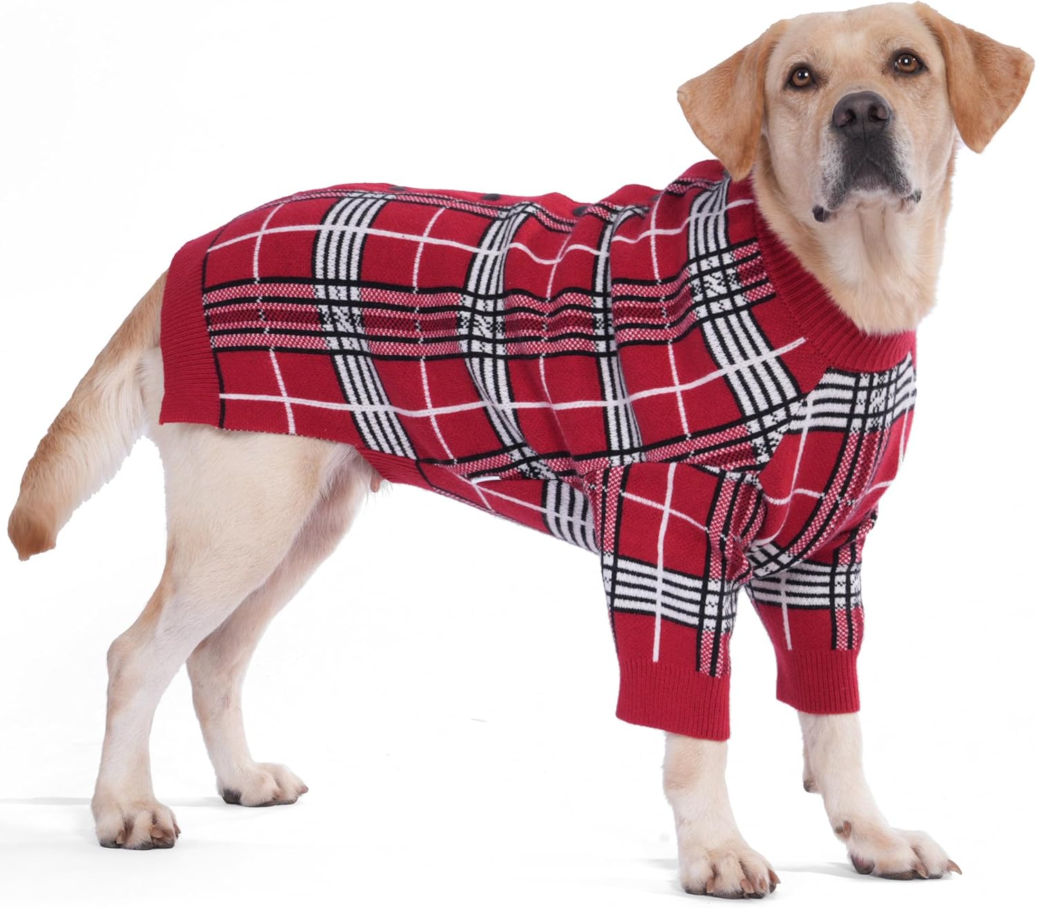 LovinPet-Dog-Sweater-main.jpg