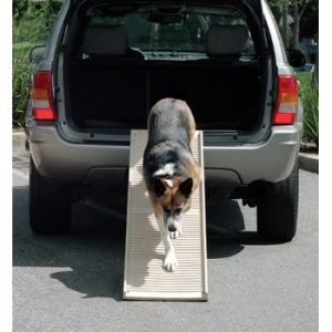 Car ramp for dogs