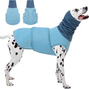 Thunder jacket for XL dog